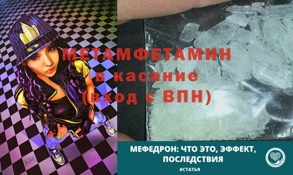 шишки Беломорск