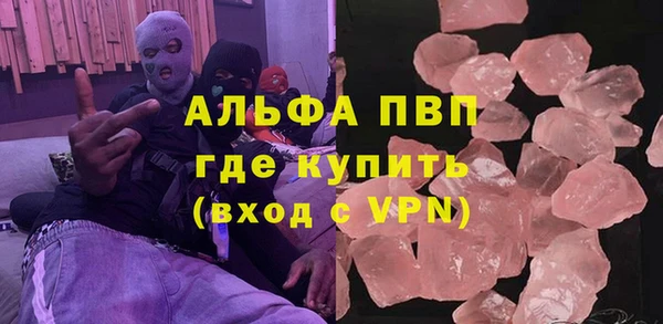 шишки Беломорск