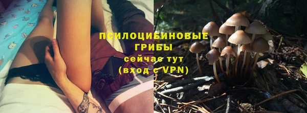 соль ск Белоозёрский