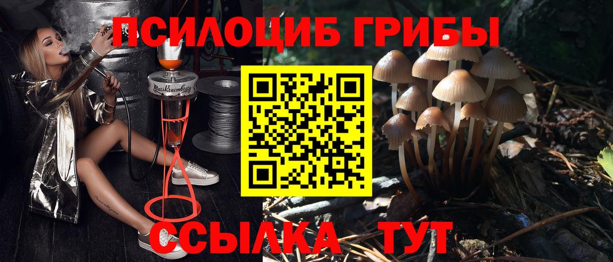 Псилоцибиновые грибы Psilocybine cubensis  Псилоцибиновые грибы Cubensis  Верхняя Пышма  Вход с VPN 