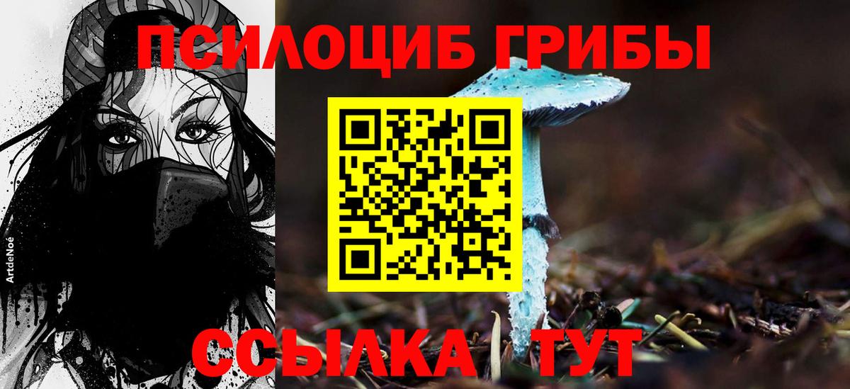 Галлюциногенные грибы прущие грибы Верхняя Пышма
